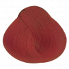 Alfaparf.Store Deep Red краситель прямого действия rEvolution Color, 90 мл, Цвет: Deep Red купить в Москве и России с бесплатной доставкой Alfaparf.Store Deep Red краситель прямого действия rEvolution Color, 90 мл, Цвет: Deep Red купить в Москве и России с бесплатной доставкой