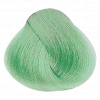 Alfaparf.Store Pastel Green краситель прямого действия rEvolution Color, 90 мл, Цвет: Pastel Green купить в Москве и России с бесплатной доставкой Alfaparf.Store Pastel Green краситель прямого действия rEvolution Color, 90 мл, Цвет: Pastel Green купить в Москве и России с бесплатной доставкой