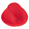 Alfaparf.Store Neon Electric Red краситель прямого действия rEvolution Color, 90 мл, Цвет: Neon Electric Red купить в Москве и России с бесплатной доставкой