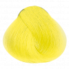Alfaparf.Store Neon Atomic Yellow краситель прямого действия rEvolution Color, 90 мл, Цвет: Neon Atomic Yellow купить в Москве и России с бесплатной доставкой