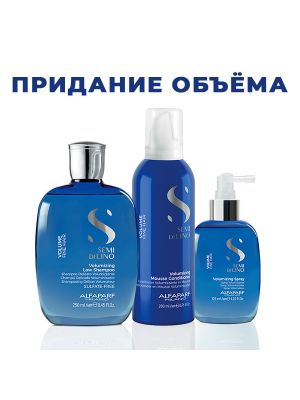 Набор купить для объёма волос средний от Alfaparf-shop.Ru Набор купить для объёма волос средний от Alfaparf-shop.Ru